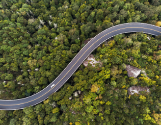 COVID-19 and the Auto Industry: News Round Up